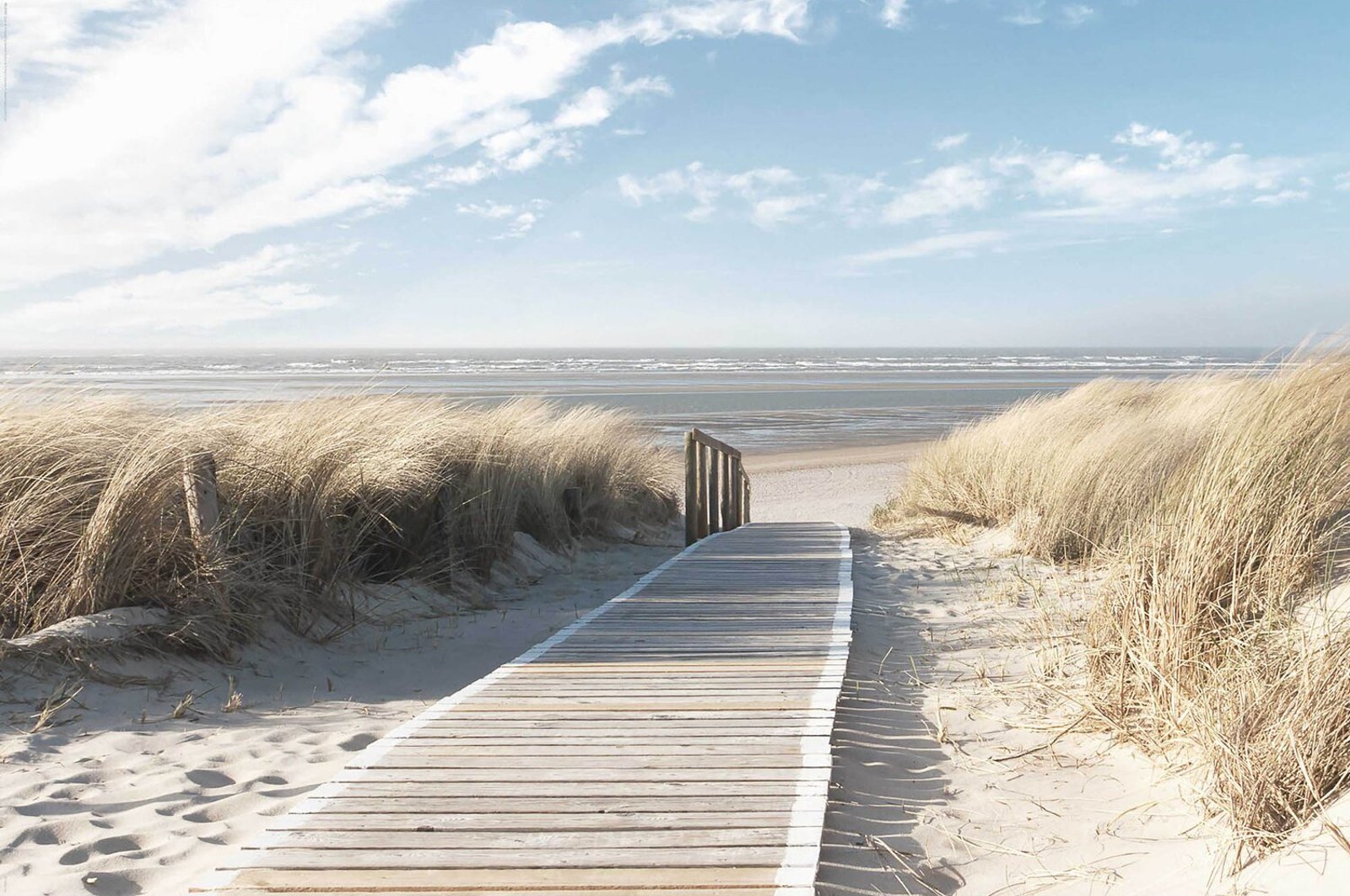 Blick auf Strand und Ostsee von Düne